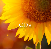 CDs